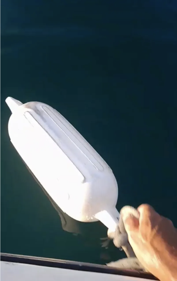 Poita Regularizada à Venda